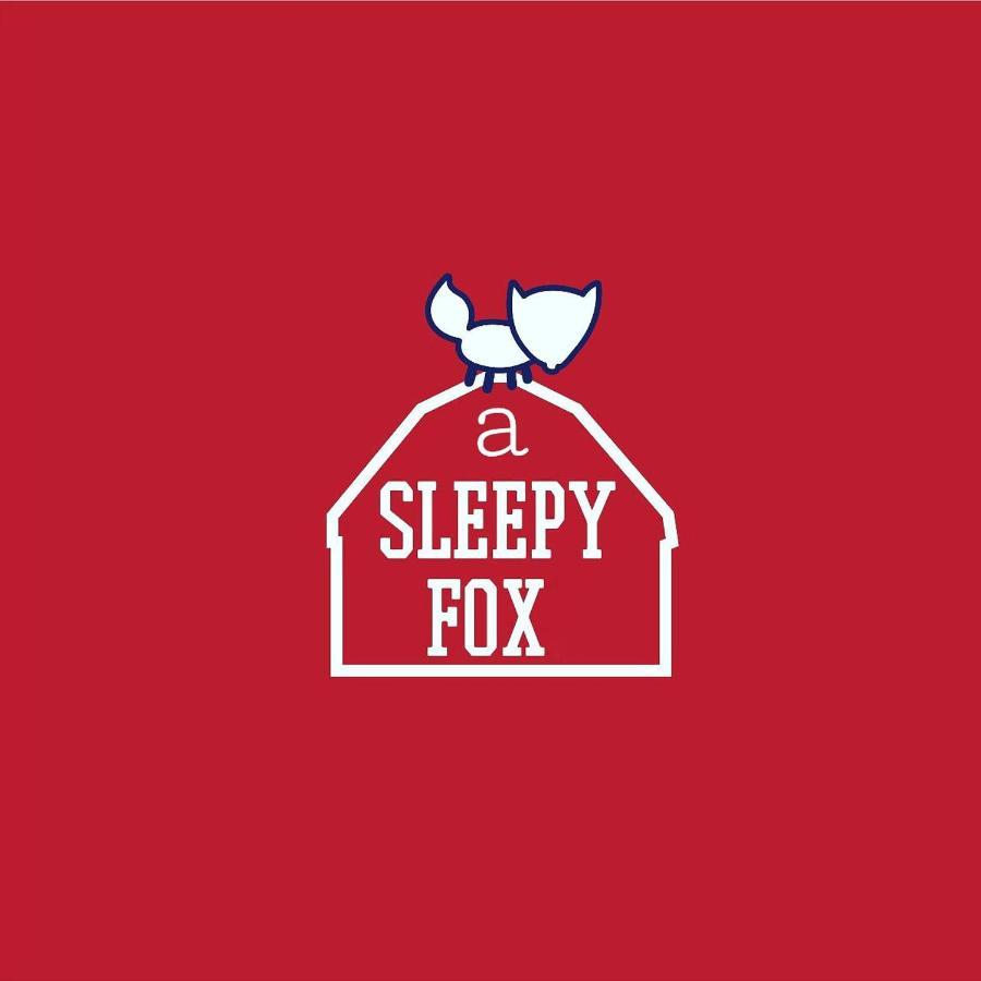 A Sleepy Fox Hostel Új-Delhi Kültér fotó