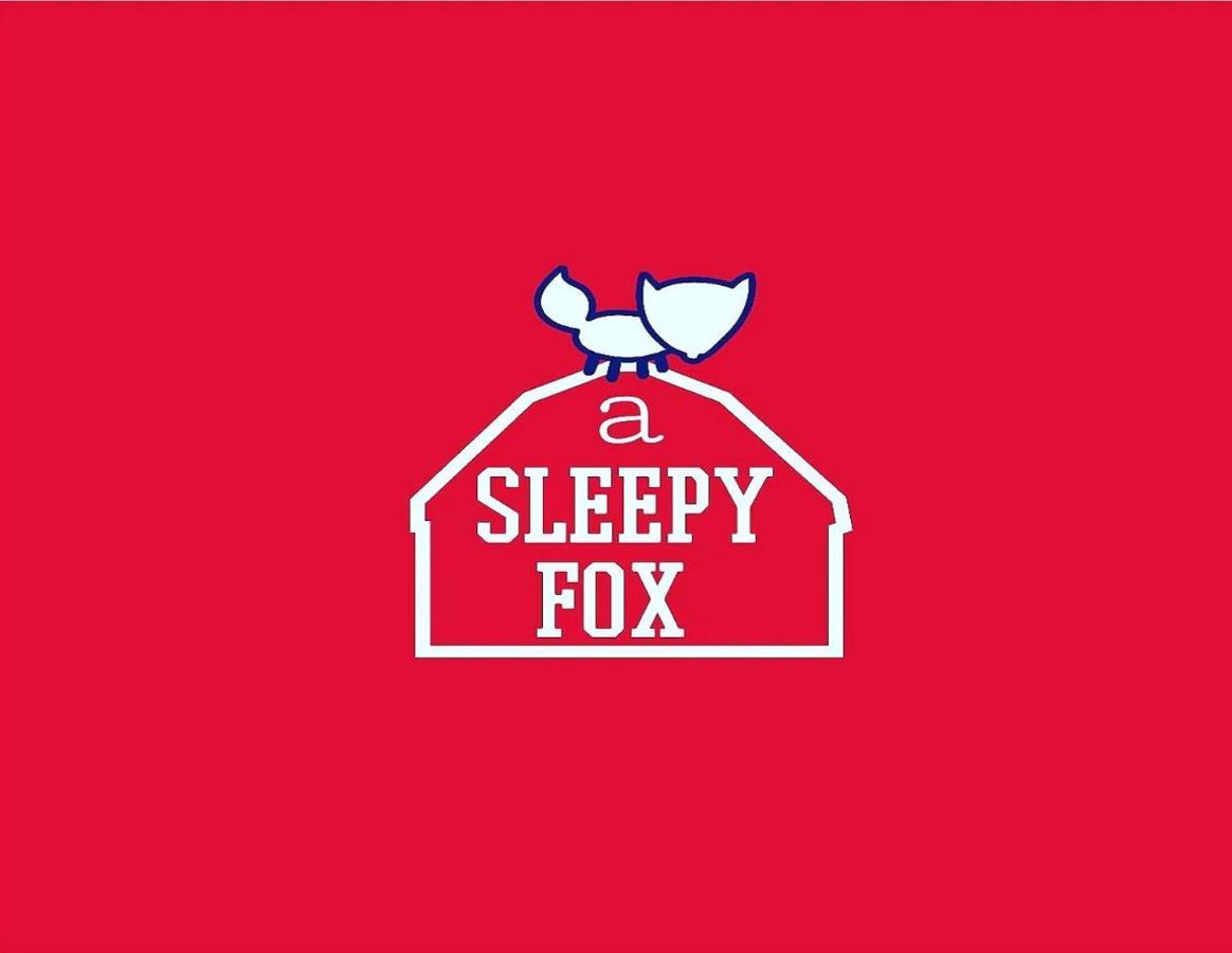 A Sleepy Fox Hostel Új-Delhi Kültér fotó